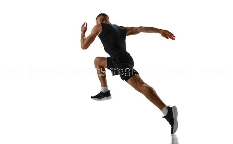 万向娱乐官方入口汉得信息标题：揭秘赌场与足球运动员的区别：从背景到规则，了解真相