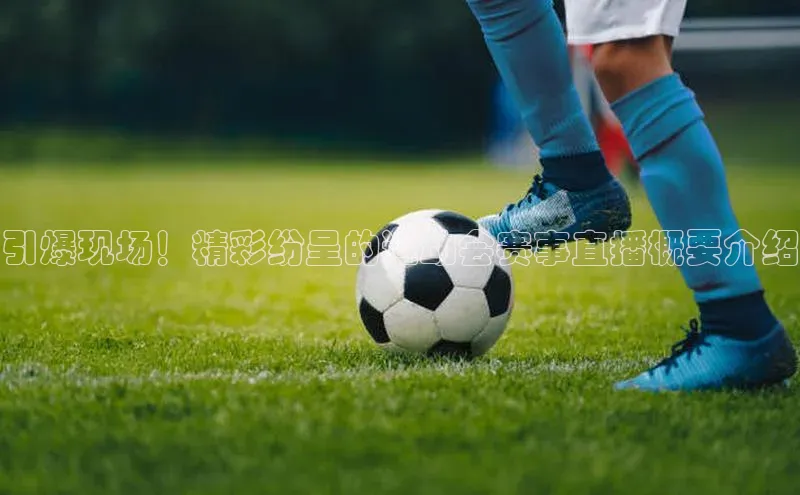 万向娱乐登录百度翻译App引爆现场！精彩纷呈的运动会赛事直播概要介绍