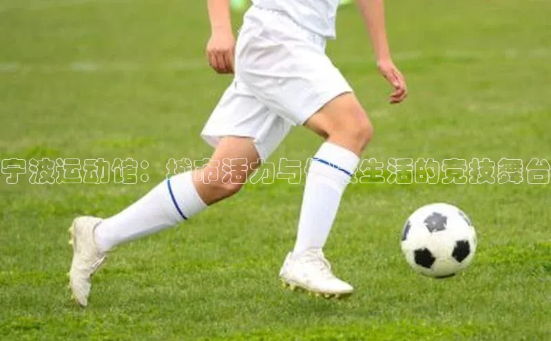 宁波运动馆：城市活力与健康生活的竞技舞台