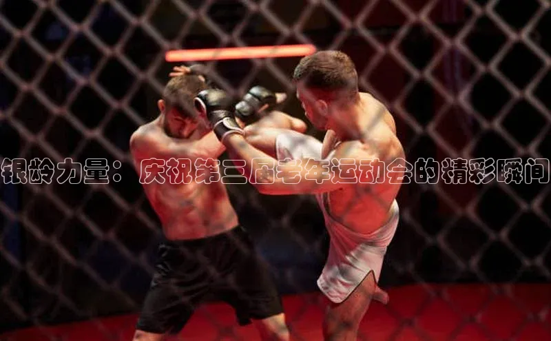 银龄力量：庆祝第三届老年运动会的精彩瞬间