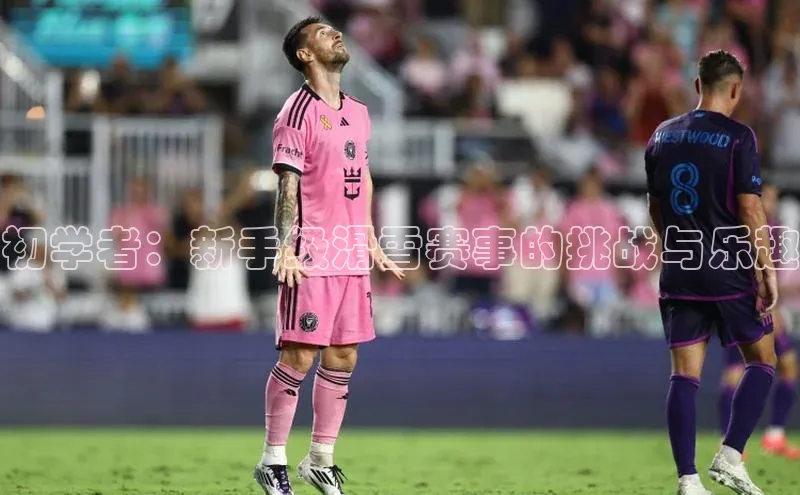 初学者：新手级滑雪赛事的挑战与乐趣