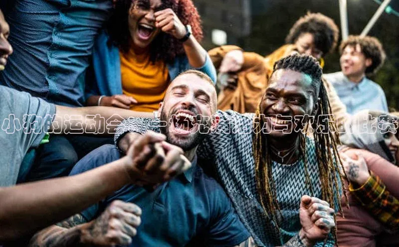 小狗的运动会：一场充满活力与欢乐的比赛