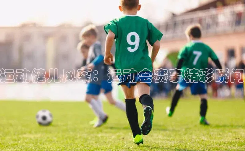 运动健儿风采：运动会赛事精彩瞬间