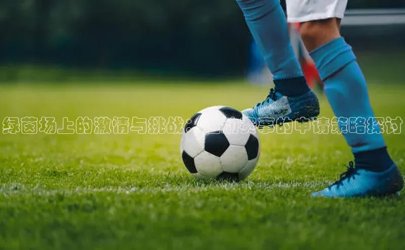 绿茵场上的激情与挑战：运动赛事的申请策略探讨