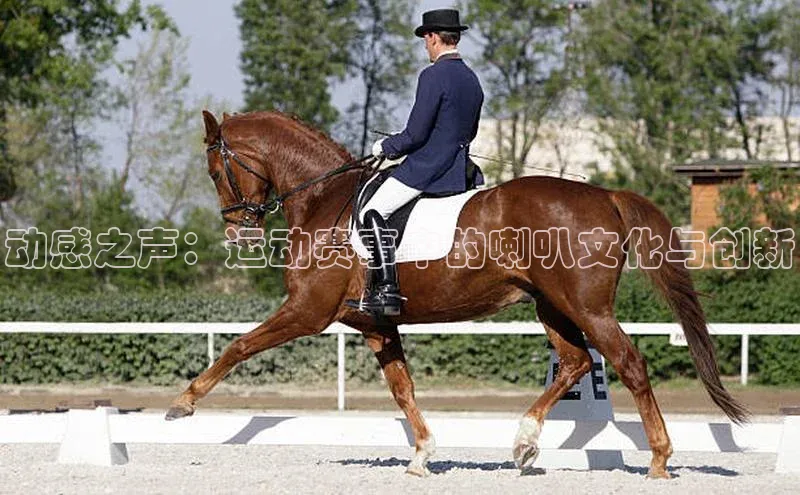 动感之声：运动赛事中的喇叭文化与创新