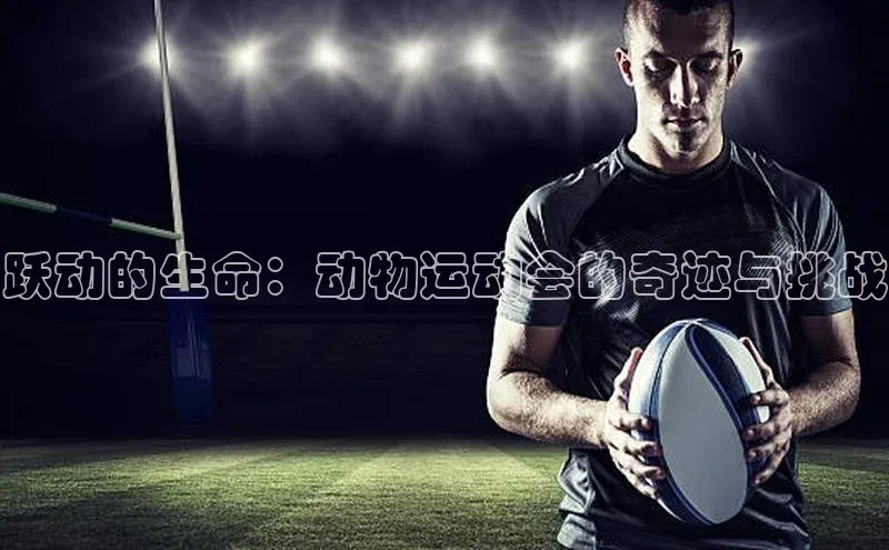 跃动的生命：动物运动会的奇迹与挑战