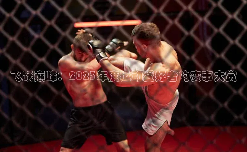 飞跃巅峰：2023年度运动爱好者的赛事大赏