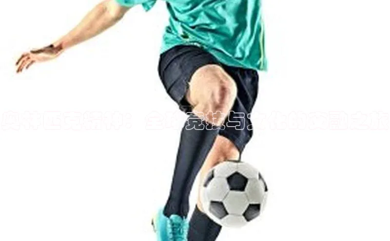 奥林匹克精神：全球竞技与文化的交融之旅