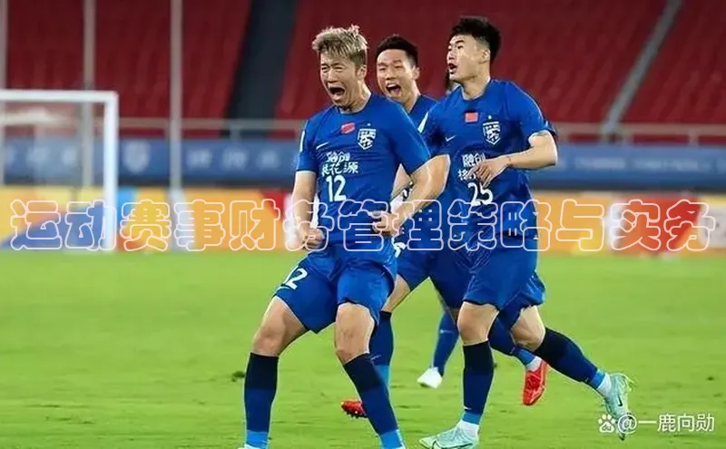 运动赛事财务管理策略与实务