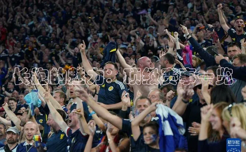 长跑的魅力：顶级赛事一览