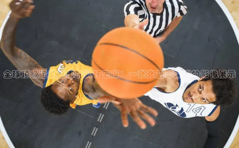 万向娱乐平台官网入口