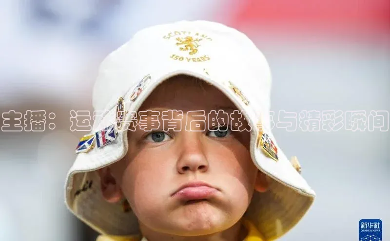 万向娱乐平台官网入口